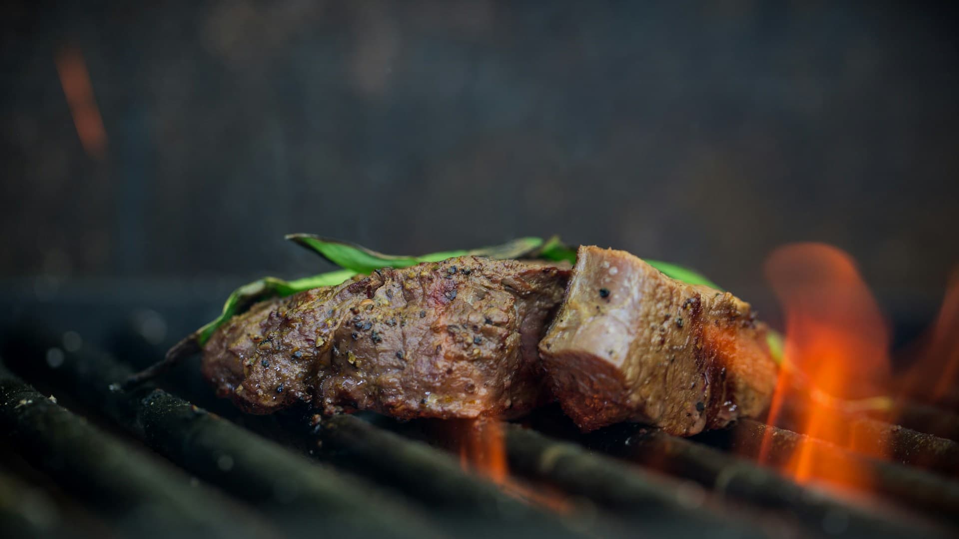 carnivore preparation